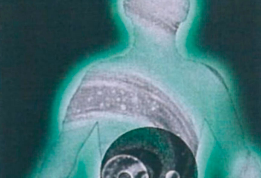 sandra-rebelo-terapia-quantica-fundo-harmonia