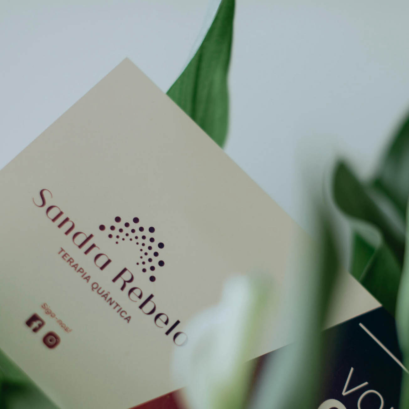 sandra-rebelo-terapia-quantica-cartao