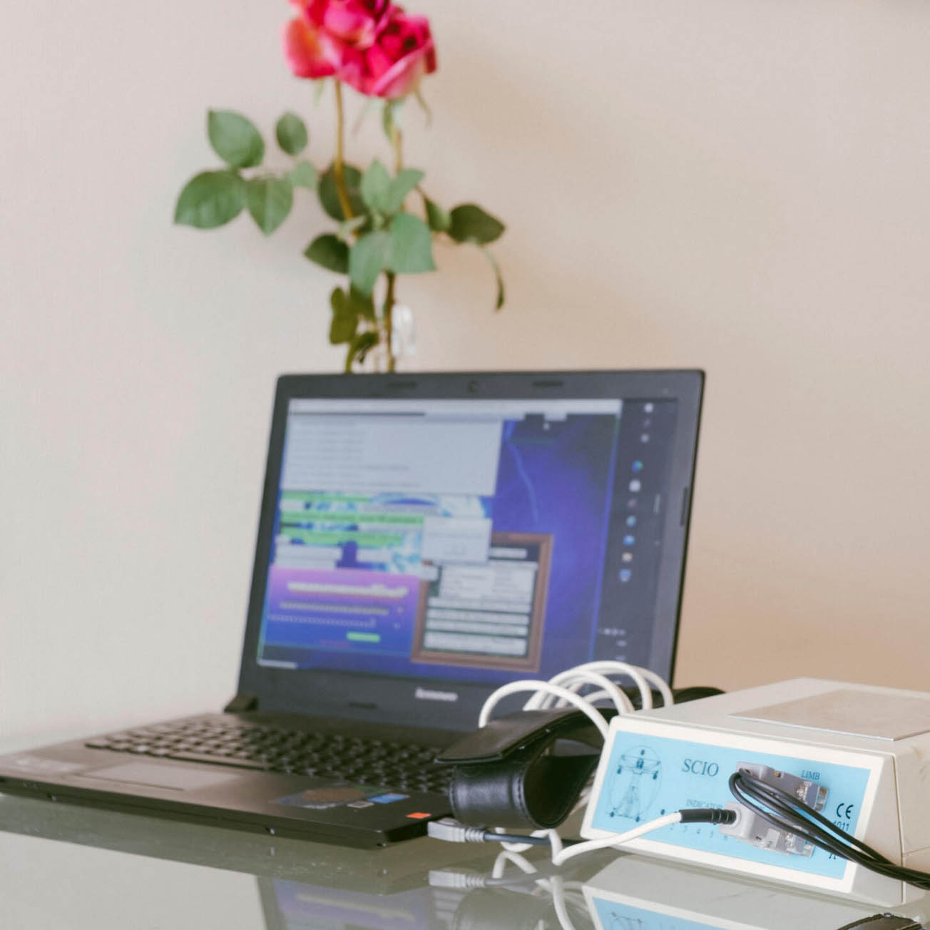 sandra-rebelo-terapia-quantica-trabalho